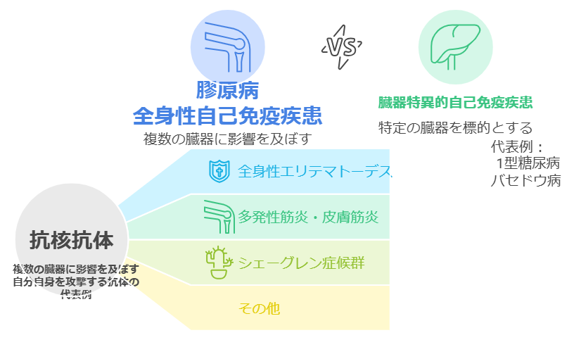 napkin-selection (4)