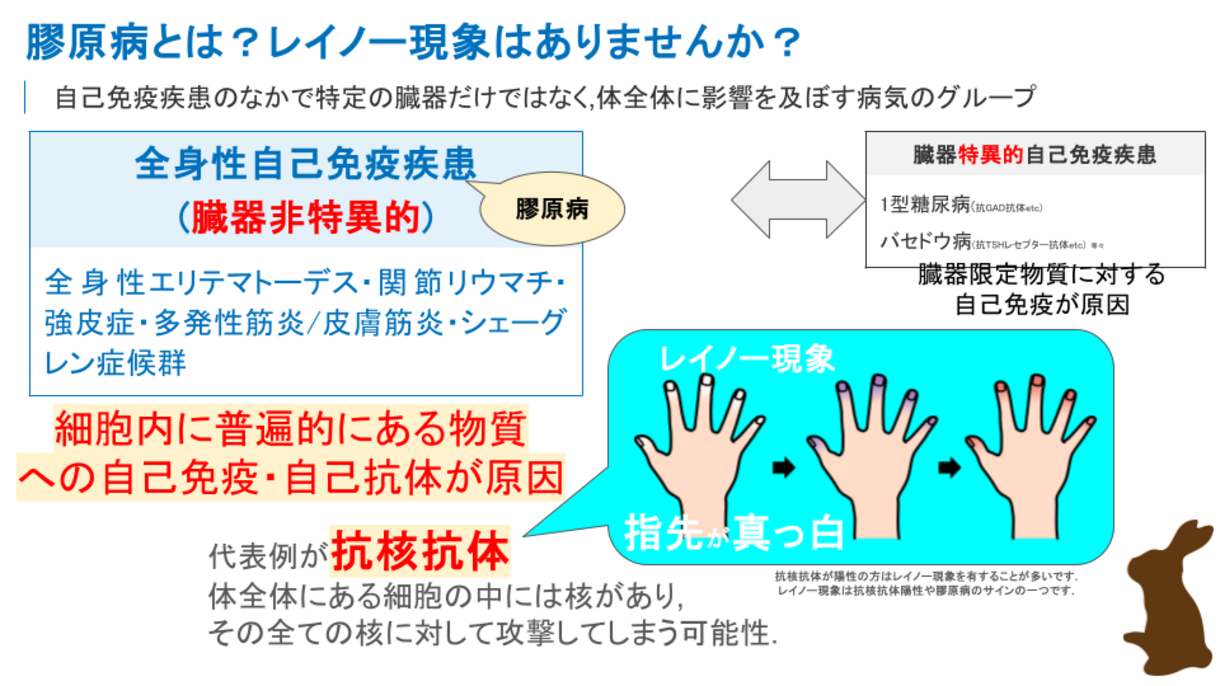 抗核抗体・膠原病とは_コピー