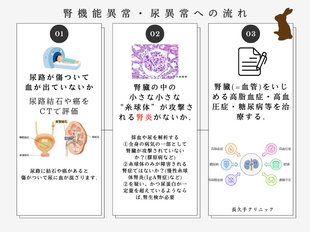 腎機能異常・尿異常への流れ