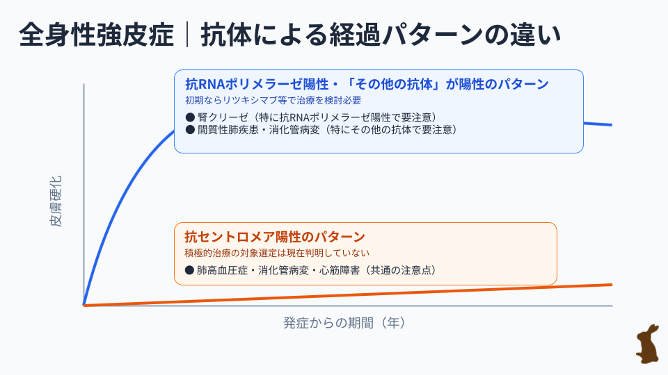 全身性強皮症 SSc の経過 ゆっくり進むタイプと比較的早く進むタイプの違い