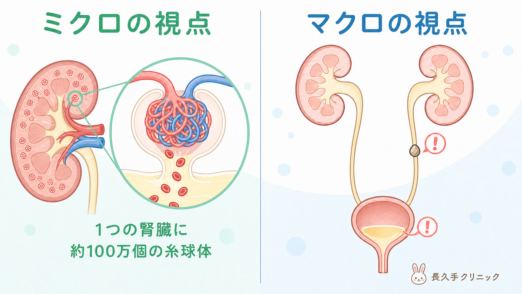 尿潜血をミクロの視点とマクロの視点で考える図