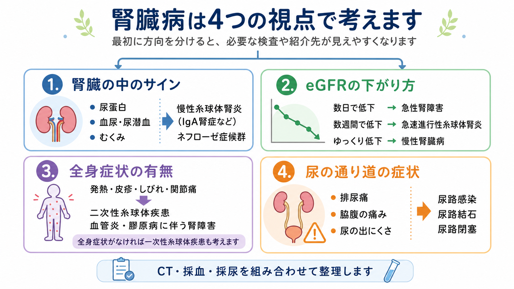 腎臓病を尿蛋白・血尿・むくみ、eGFRの下がる速度、全身症状、尿路症状の4つの視点で説明する図
