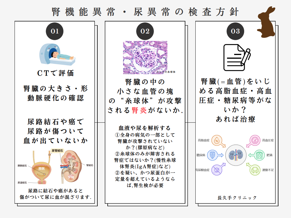 腎機能異常や尿異常について血液検査、尿検査、CTによる腎臓の形の評価などを組み合わせて原因を確認する流れ